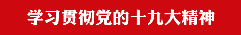 学习贯彻党的十九大精神